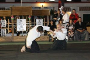 Aikido en Taikai 2013