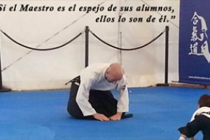 Aikido en el Fitness 2013 de Palma de Mallorca