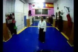 Aikido desde la visión de Uke