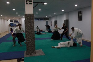 3º Curso pre-examen Aikido