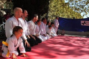 Aikido en Bunka No Hi