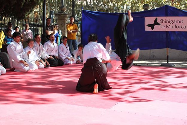 Aikido002