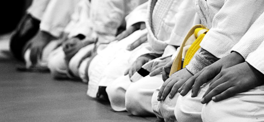 Aikido Infantil (de 2 a 7 años) Juvenil (de 8 a 13  años) y Adultos (+14 años).