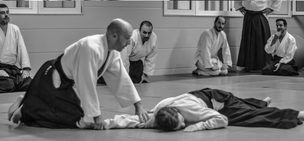 Clases privadas o en grupo de Aikido y Defensa Personal.