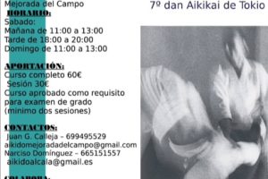 Seminario Frank Noel 7º Dan Aikikai