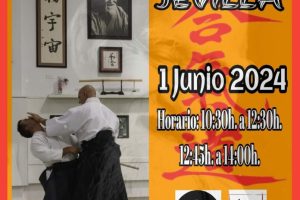 Seminario de Aikido con el Maestro Jorge Guillén 6º Dan Aikikai