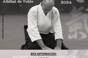 Seminario Valencia – Frank Noel 7º Dan Aikikai