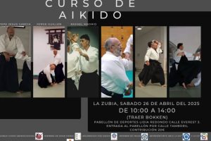 Seminario Aikido en GRANADA !