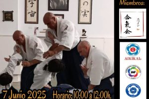 Seminario Aikido Shihan Jorge Guillen 6º Dan Aikikai